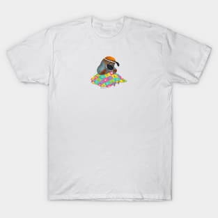 Quail Quilting T-Shirt